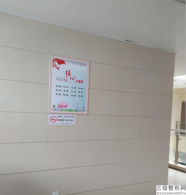 妙桃假体隆胸价格是多少，妙桃做隆胸效果怎么样
