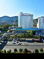 山东省千佛山医院整形外科